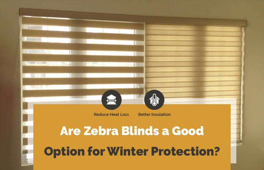Are Zebra Blinds a Good Option for Winter Protection?