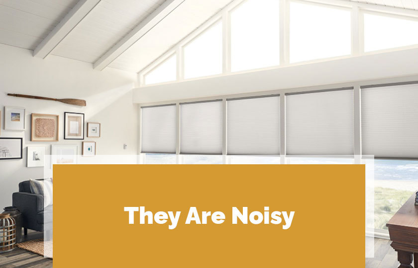 They-Are-Noisy